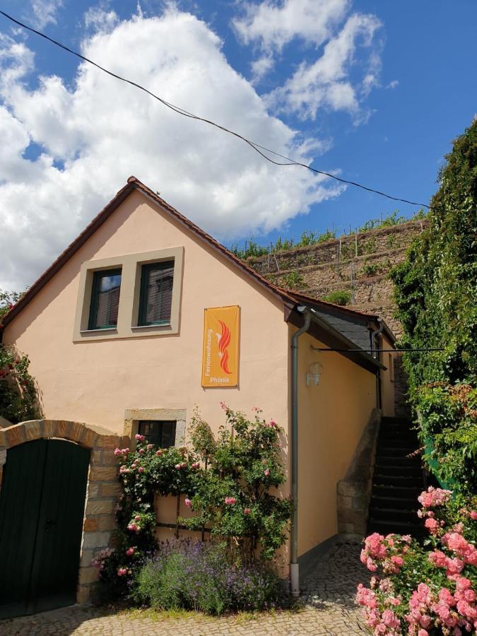 Unterkunft Am Weinberg Nunchritz Eksteriør bilde